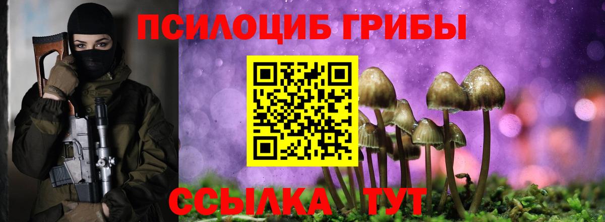 Галлюциногенные грибы прущие грибы Кандалакша